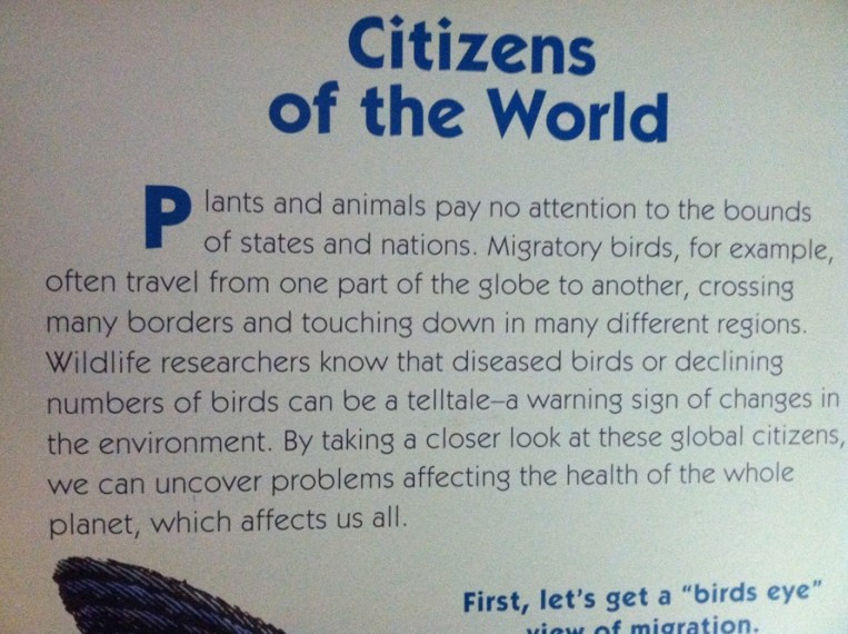 Patuxent Citizens of the World