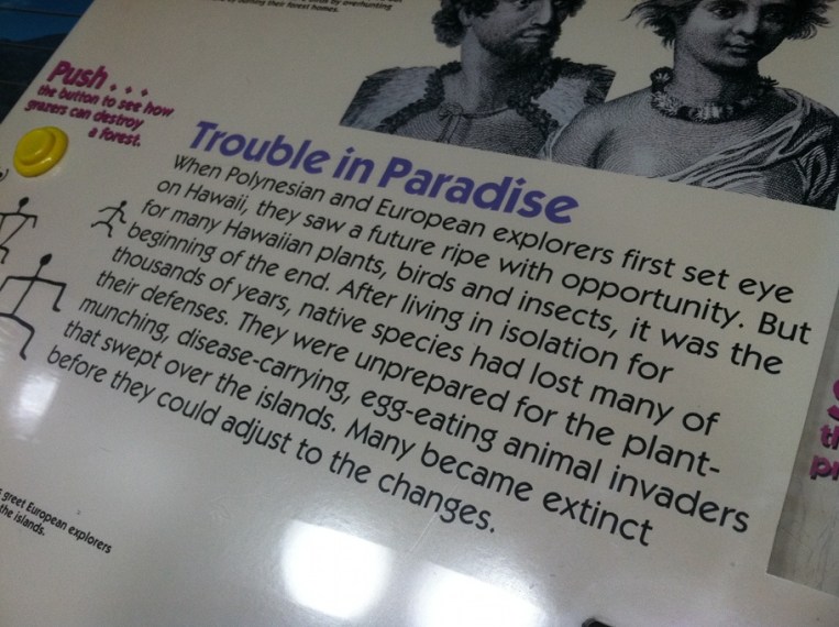 Patuxent Trouble in Paradise